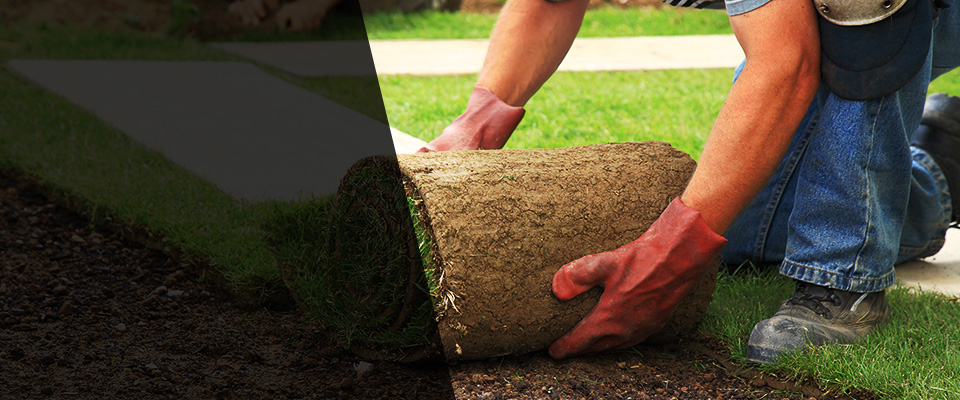 Stuttgart Landscapers